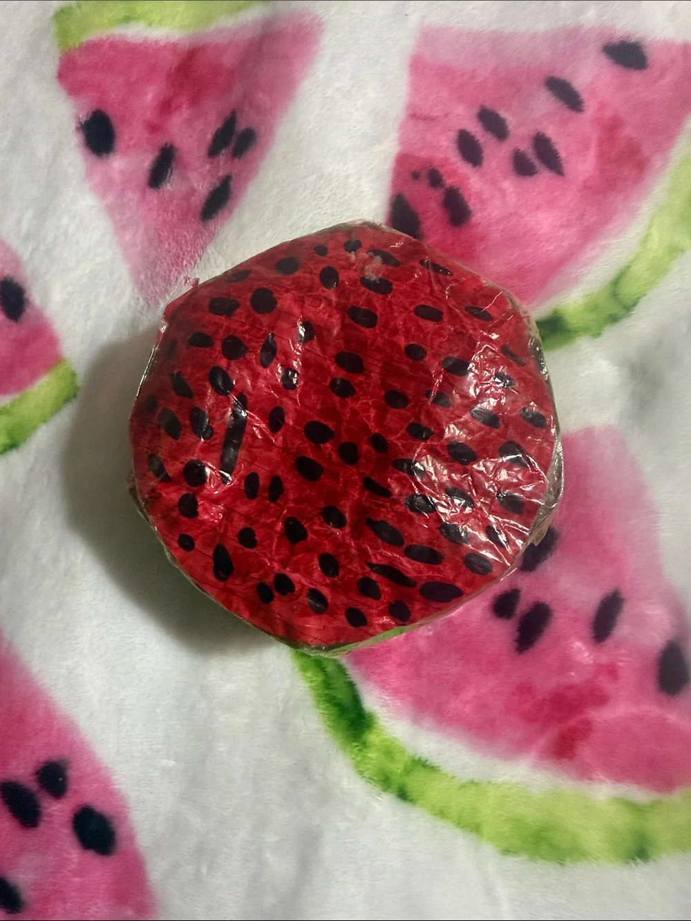 Red Watermelon Coin Purse - Women's Accessory